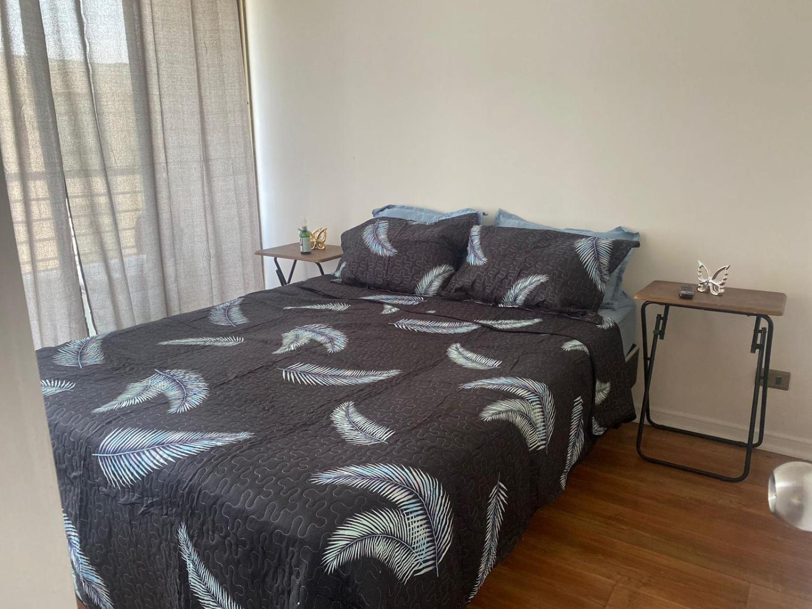 Appartamento Yungay Santiago del Cile